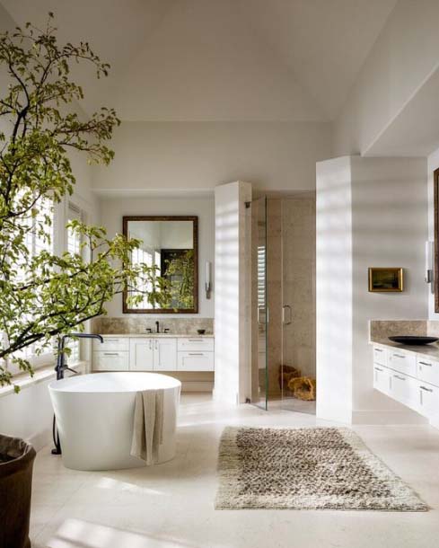 Bathroom Design Tips